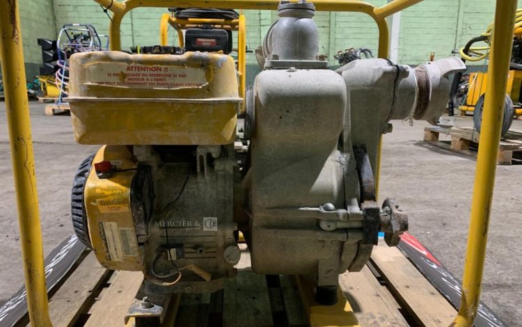 ROBIN PUMP PTX301T  POM010052