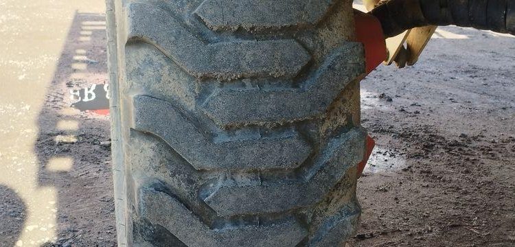 DE PIETRI RECOLTEUSE DE JEUNE POUSSE FR60 SUR ROUES 2019 – DIESEL – 1285 HEURES – AN 2019 BLANC 2