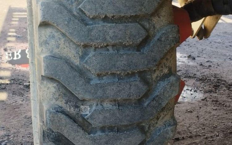 DE PIETRI RECOLTEUSE DE JEUNE POUSSE FR60 SUR ROUES 2019 – DIESEL – 1285 HEURES – AN 2019 BLANC 2