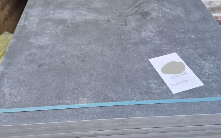 DE PIETRI RECOLTEUSE DE JEUNE POUSSE FR60 SUR ROUES 2019 – DIESEL – 1285 HEURES – AN 2019 BLANC 2