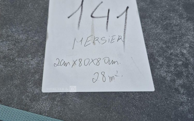 DE PIETRI RECOLTEUSE DE JEUNE POUSSE FR60 SUR ROUES 2019 – DIESEL – 1285 HEURES – AN 2019 BLANC 2