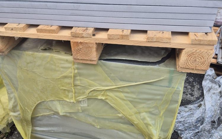 DE PIETRI RECOLTEUSE DE JEUNE POUSSE FR60 SUR ROUES 2019 – DIESEL – 1285 HEURES – AN 2019 BLANC 2