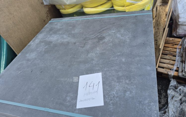 DE PIETRI RECOLTEUSE DE JEUNE POUSSE FR60 SUR ROUES 2019 – DIESEL – 1285 HEURES – AN 2019 BLANC 2