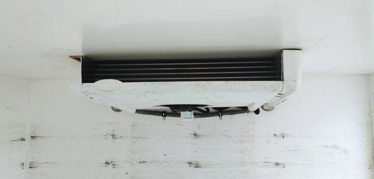 RENAULT Master GCF CCTR3500 L2 DCI 110 Frigo Hay  FH-337-EZ