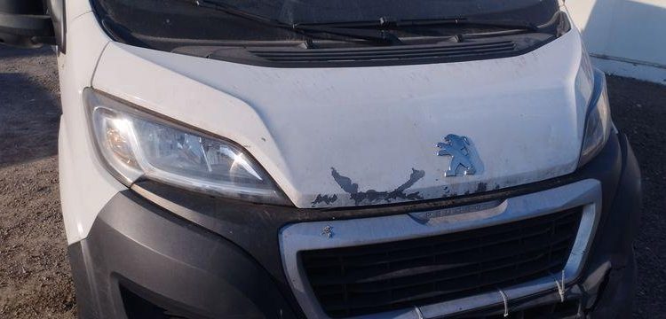 PEUGEOT BOXER FG 335 BLUEHDI 130 BVM6 L2H2 FRIGO  FK-854-GJ