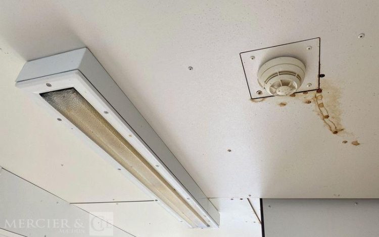 BUNGALOW BUREAU AVEC SANITAIRE / DOUCHE – PORTE ET FENETRE PIGNON  SBV5