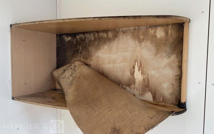 BUNGALOW BUREAU AVEC SANITAIRE / DOUCHE – PORTE ET FENETRE PIGNON  SBV5