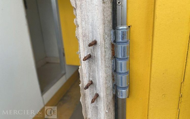 BUNGALOW BUREAU AVEC SANITAIRE / DOUCHE – PORTE ET FENETRE PIGNON  SBV5