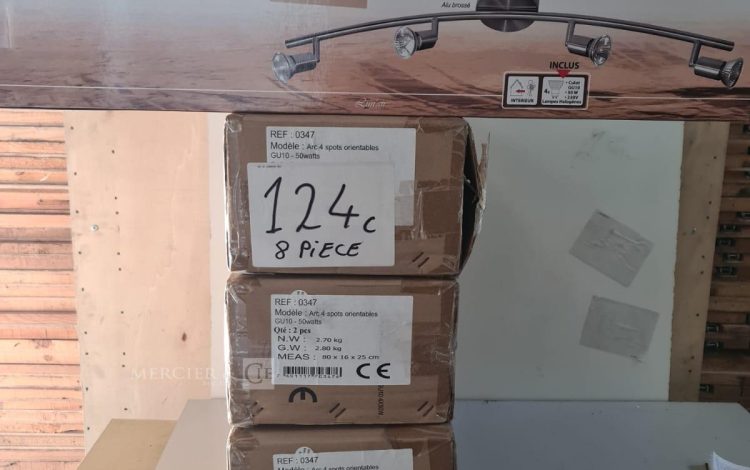 XCMG MINI PELLE XE55E / MP15-B 5.7T 1011H AN2021  124