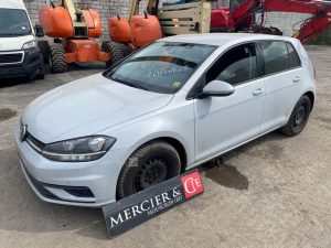 VOLKSWAGEN GOLF  2-BTW-668