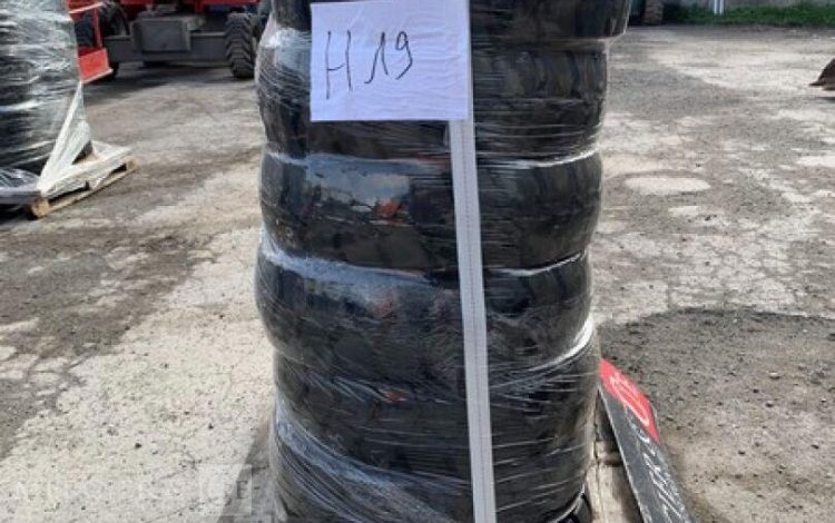 CHENG GFL   H19