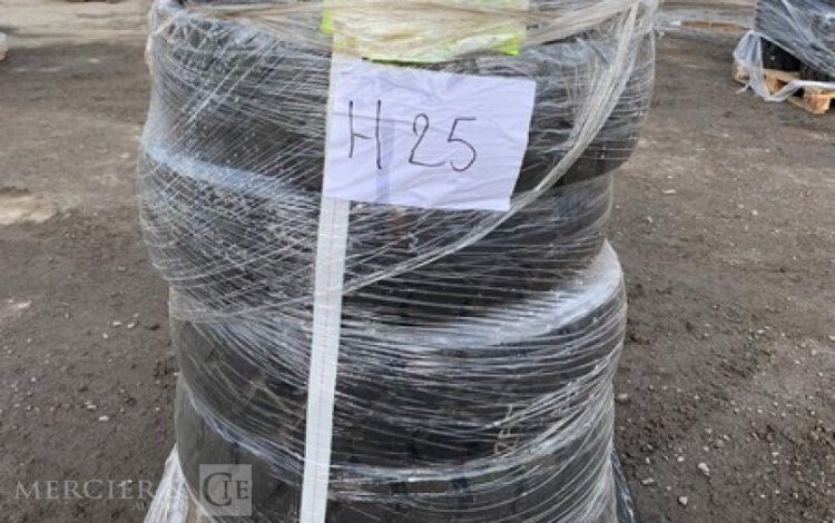 CHENG GFL   H25