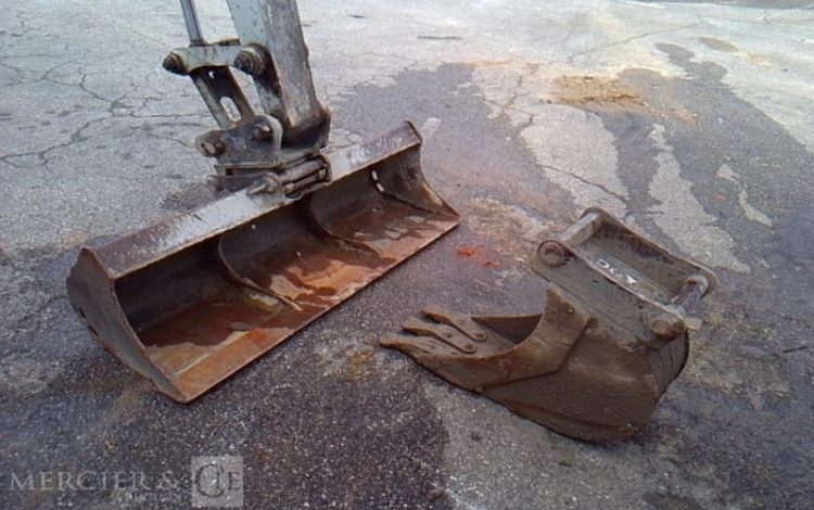 TAKEUCHI MINI PELLE TB153FR  301412