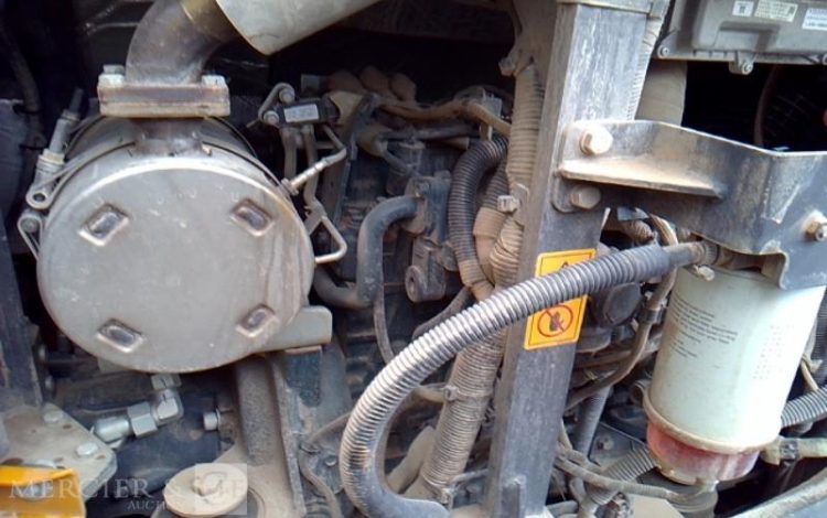 XCMG MINI PELLE XE55 / MP48  432