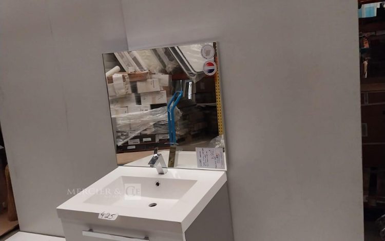 Autre Mélangeur avec bouton pour réglage de l’eau, douchette et toutes les accessoires  350