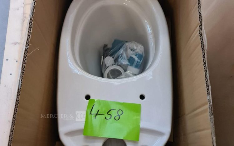 Autre Pack WC à poser céramique blanche émaillé sans brive , cuvette surélevée , sorti  374