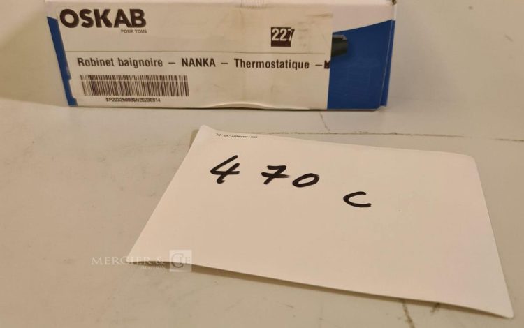 autre Mitigeur pour douche Nanka thermostatique de la marque Edouard Rousseau  418