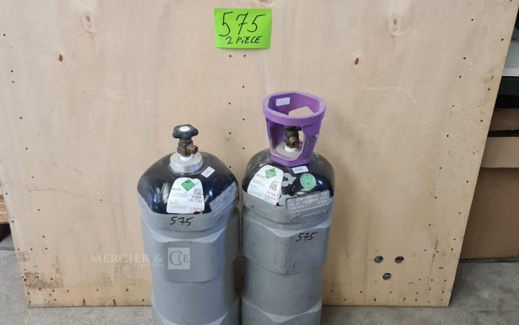 Autre Lot de 2 bouteilles a gaz comprime azote comprime  402