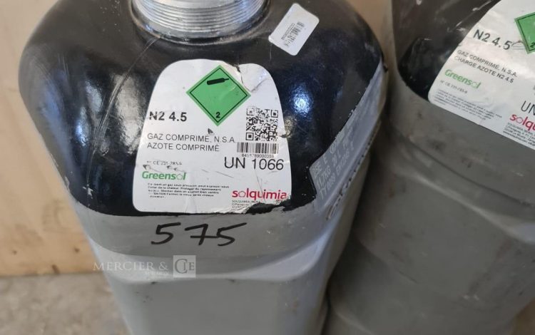 Autre Lot de 2 bouteilles a gaz comprime azote comprime  402