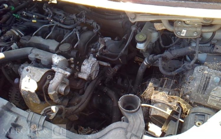 PEUGEOT EXPERT  BJ-842-FZ