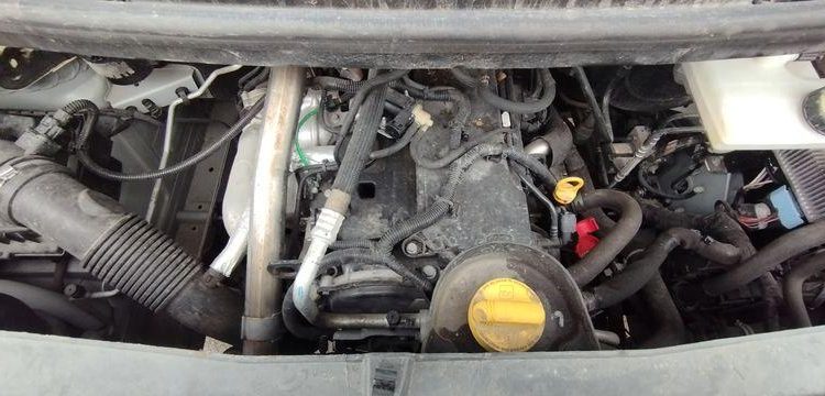 RENAULT DAILY 35C13  FM-828-PE