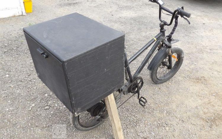 POWER BIKES VELO RAD RUNNER EU A ASSISTANCE ELECTRIQUE  VELO12