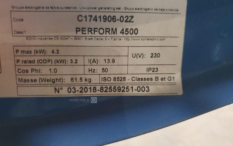 SDMO PERFORM 4500  GRO747208