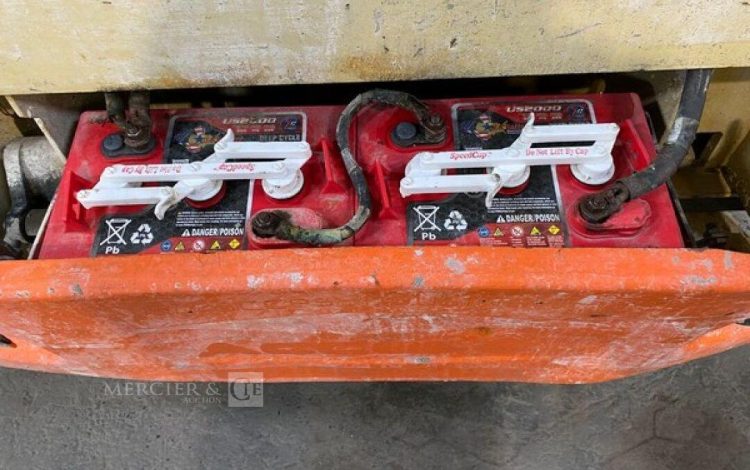 JLG 2030ES / CE08  8171
