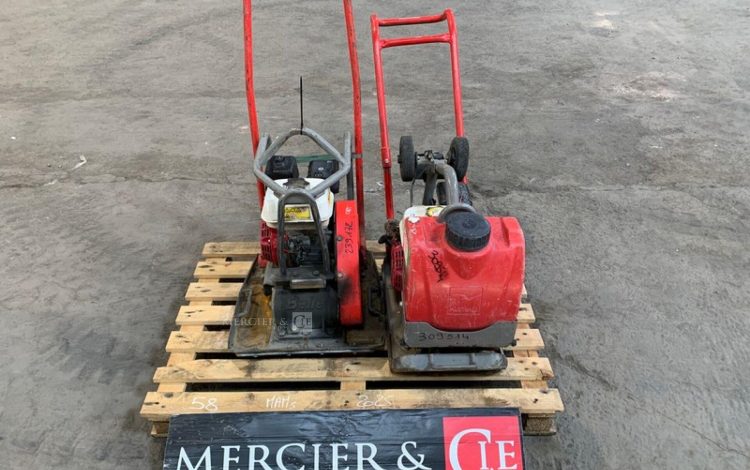 BELLE GROUP   58MAM52025