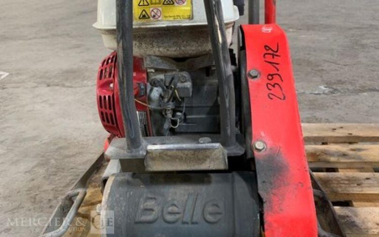 BELLE GROUP   58MAM52025