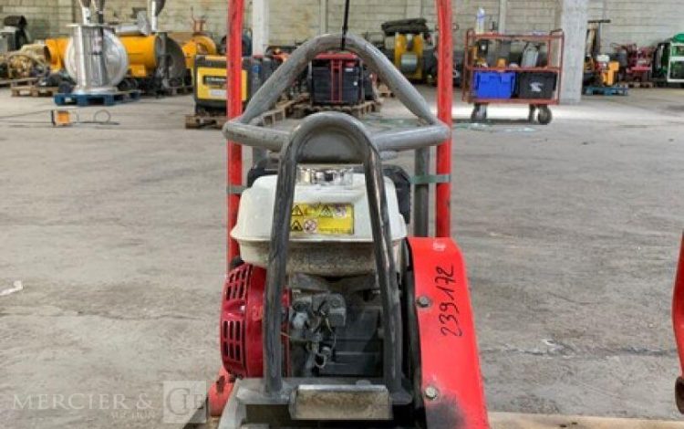 BELLE GROUP   58MAM52025