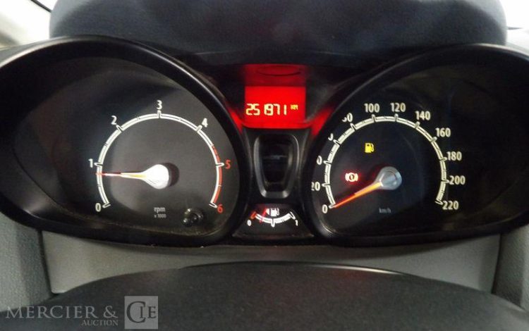 FORD FIESTA  AF-596-PP