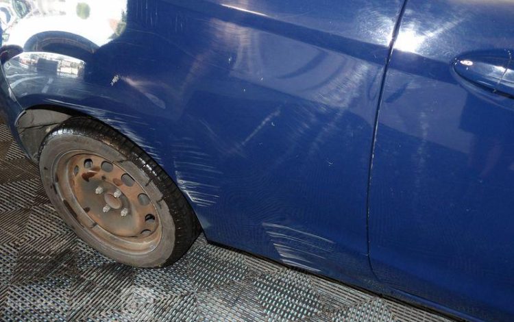 FORD FIESTA  AF-596-PP