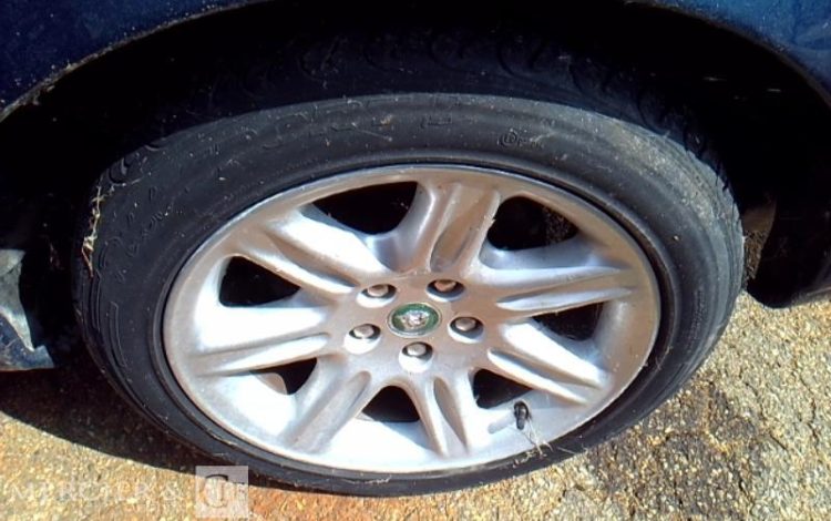 JAGUAR JSC CONVERTIBLE 233CV  FE-714-JD