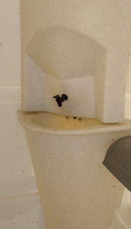 WC DE CHANTIER  WC420