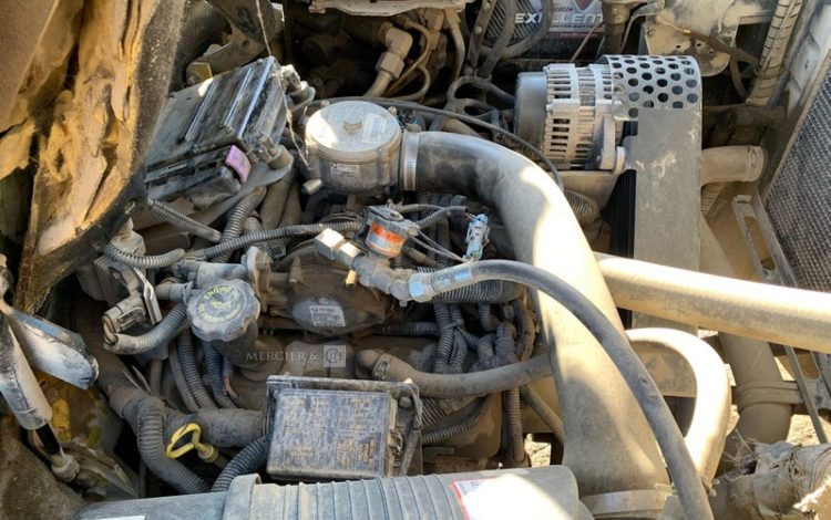 HYSTER H5.5XM  CHA010001