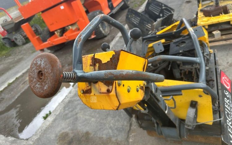 BELLE GROUP 650AYGRY3  ROU010501