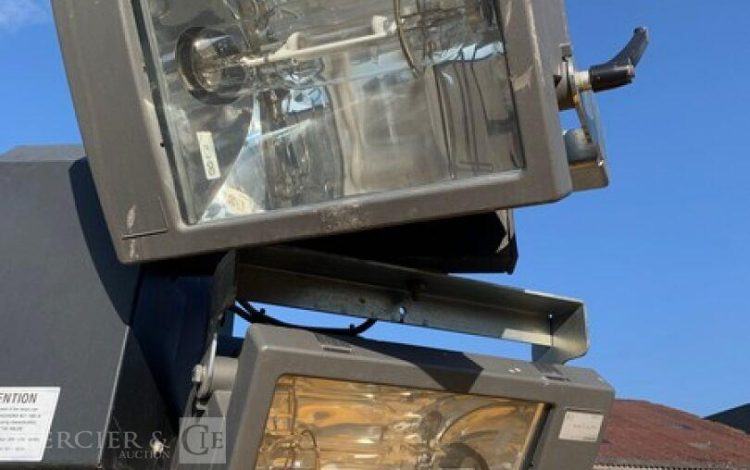 GENERAC DF ECOLOGY TOWER LIGHT – VT1  ECL010379