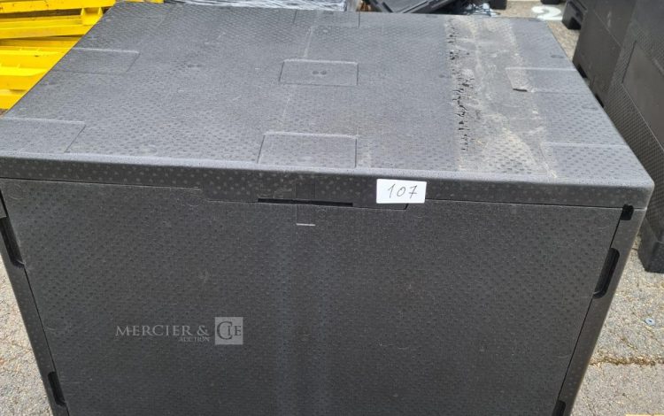 Autre Coupe carreaux de la marque WALMER MGLR II 1200 Article neuf , Longueur  120 cm,  98
