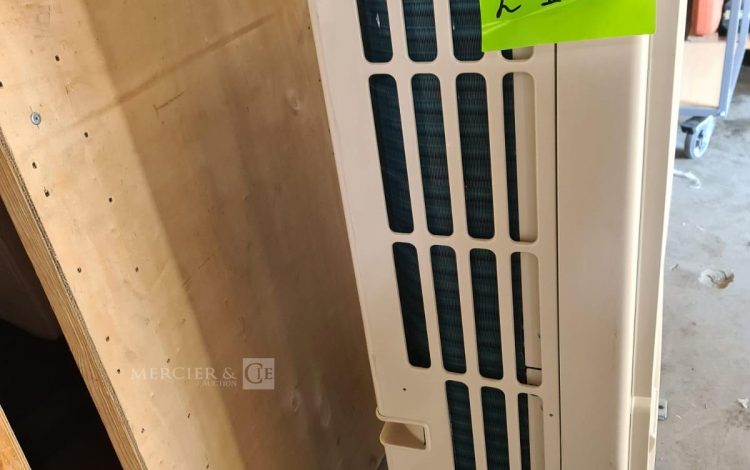 Autre Compresseur C , LTD , Redditch , Worc’s marque Hydro Vane 15  219