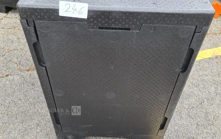 Autre Caisson frigorifique isotherme, conçu pour le transport et le stockage de produi  211