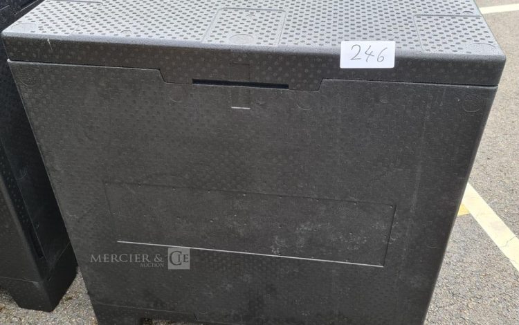 Autre Caisson frigorifique isotherme, conçu pour le transport et le stockage de produi  211