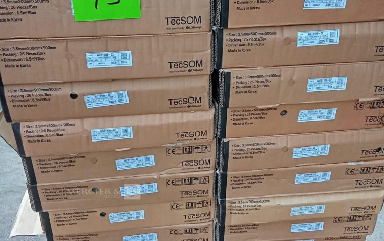 Autre Moquette TECSOM WCT1106-02  38