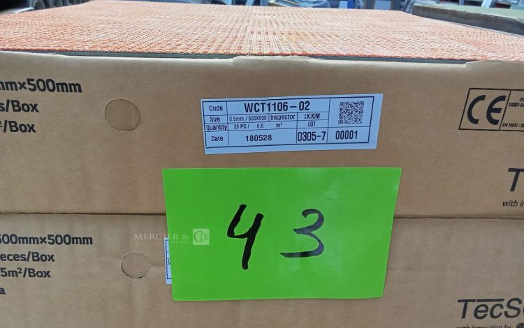 Autre Moquette TECSOM WCT1106-02  38