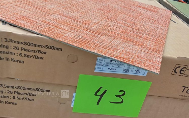Autre Moquette TECSOM WCT1106-02  38