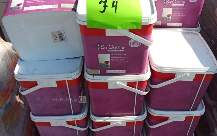 Autre Lot de 39 seaux de peinture à effet velours  SM Oothie  67