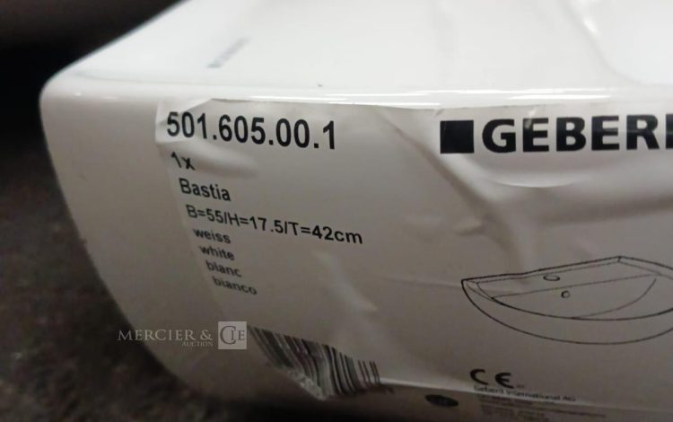 autre Lot de 2 lavabos avec pieds , lavabo de la marque Geberit  605