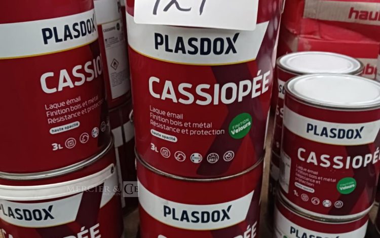 autre Lot comprenant 16 sceaux de 3L de laque émail finition bois et métal , CASSIOPEE  617