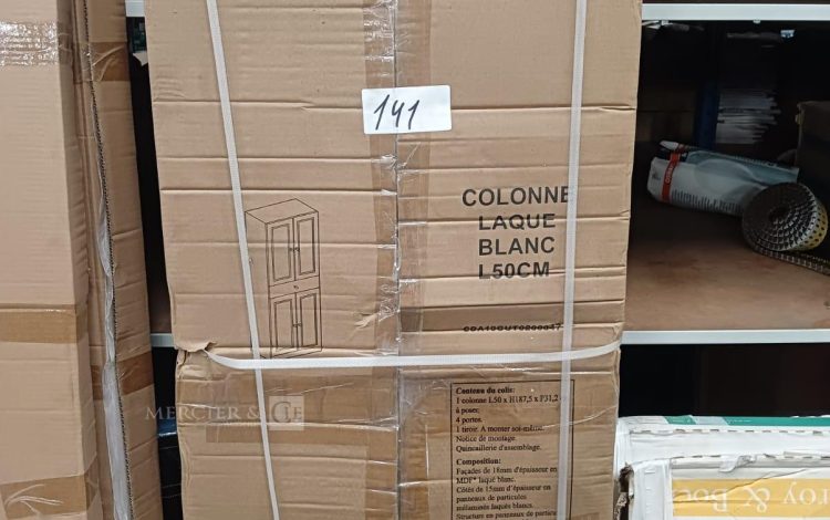 autre Colonne pour salle de bain , laque blanc dimensions : L50xH187,5xP31,2cm  637