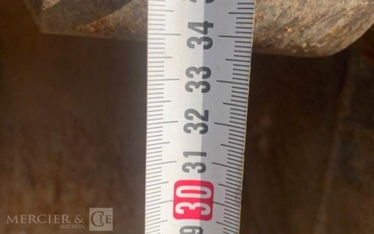 PEL010338